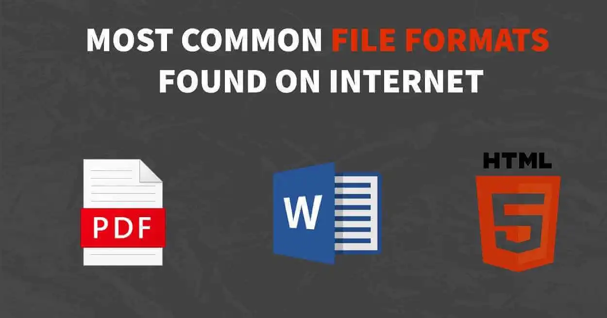 which of the following is a common document format found on the internet